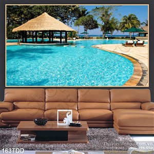 Tranh Đại Dương, cá heo 3D dán tường đẹp