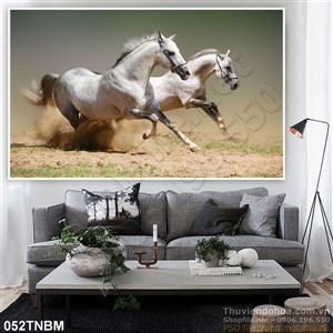 Tranh Ngựa Psd treo tường