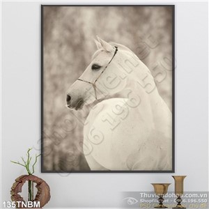 Tranh Ngựa Psd Bạch mã đẹp
