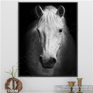 Tranh Ngựa Psd Bạch mã