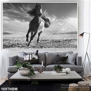 Tranh Ngựa Psd trên sa mạc