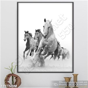 Tranh Ngựa Psd bạch mã