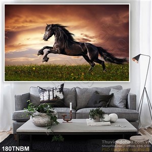 Tranh Ngựa Psd và hoàng hôn