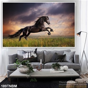 Tranh Ngựa Psd và thiên nhiên