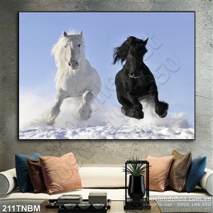 Tranh Ngựa Psd đen và trắng