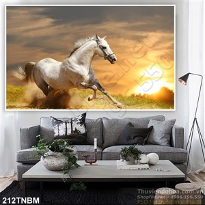 Tranh Ngựa Psd và bình minh
