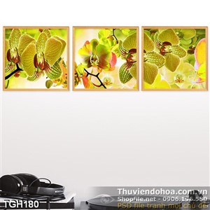 Tranh ghép hoa lan màu vàng