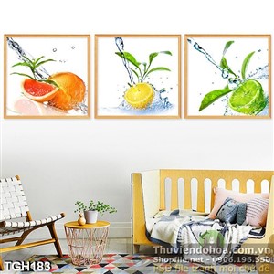 Tranh ghép trái cây và nước mát 3d đẹp