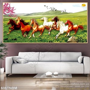 Bát Mã trên thảo nguyên xanh