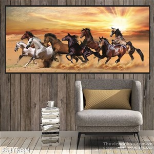 Chiều hoàng hôn trên bãi biển cùng 8 chú ngựa đẹp