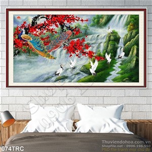 Tranh chim công mùa xuân trang trí tường