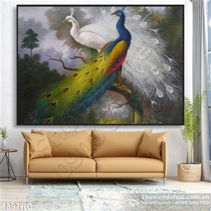 Tranh chim công phong thủy treo tường