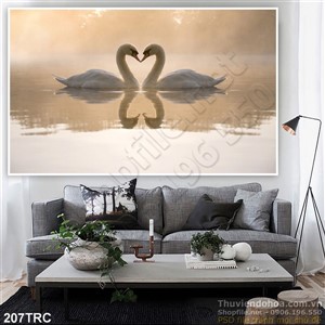 Tranh thiên nga trên sông
