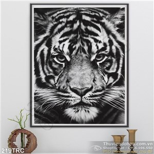 Tranh Rồng,công,phượng,thiên nga, hổ nghệ thuật