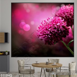 Tranh hoa trang trí treo tường