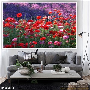 Tranh hoa sen nghệ thuật