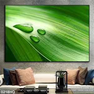 Tranh hoa lá trang trí tường đẹp