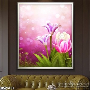 Tranh hoa  tulip dán tường đẹp