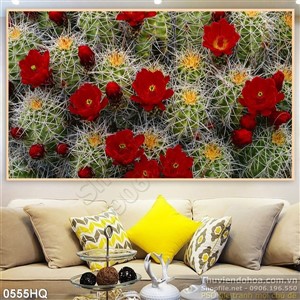 Tranh hoa xương rồng đẹp