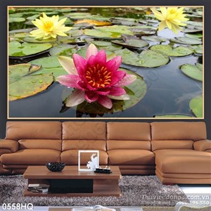 Tranh hoa súng trang trí phòng khách