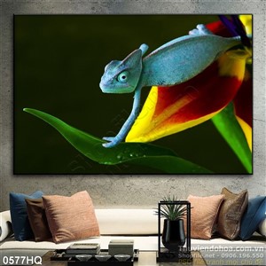 Tranh hoa nhiếp ảnh nghệ thuật