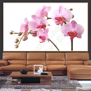 Tranh hoa lan độc đáo