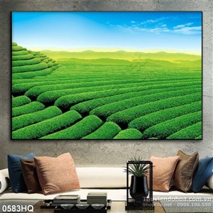 Tranh hoa trang trí độc đáo