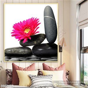 Tranh hoa đồng tiền spa