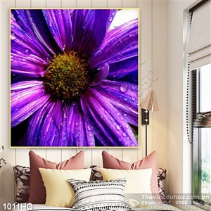 Tranh hoa nhiếp ảnh đẹp