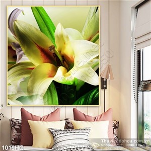 Tranh hoa Ly nghệ thuật đẹp