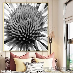 Tranh hoa nhiếp ảnh đẹp