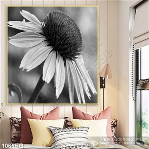 Tranh hoa cúc đẹp