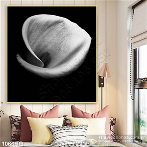 Tranh hoa Vân môn trang trí tường đẹp