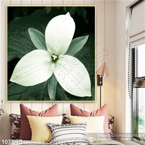 Tranh hoa lan trang trí