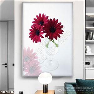 Tranh hoa đồng tiền đẹp