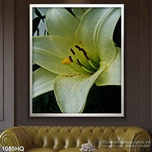 Tranh hoa Ly nghệ thuật đẹp