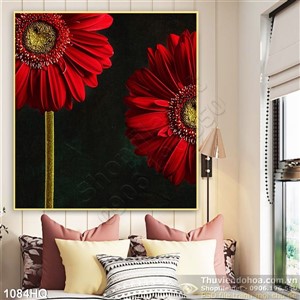 Tranh hoa đồng tiền đẹp