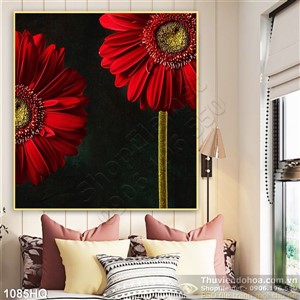 Tranh hoa đồng tiền hiện đại