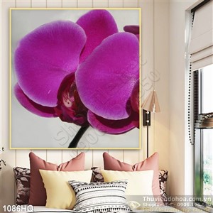 Tranh hoa lan treo tường nghệ thuật