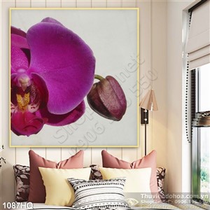 Tranh hoa lan treo tường đẹp