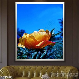 Tranh hoa nhiếp ảnh nghệ thuật