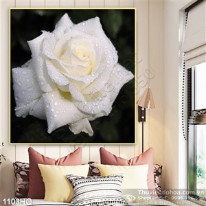 Tranh hoa hồng trang trí tường đẹp