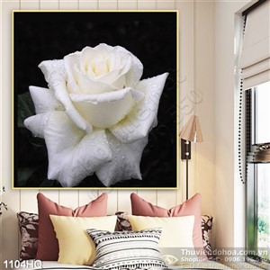 Tranh hoa hồng trắng đẹp