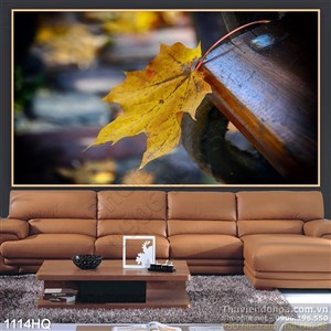 Tranh hoa lá mùa thu đẹp