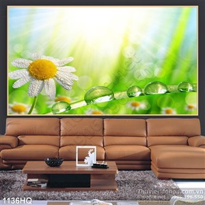 Tranh hoa lá độc đáo