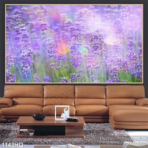 Tranh hoa oải hương treo tường đẹp