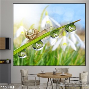 Tranh hoa trang trí tường đẹp