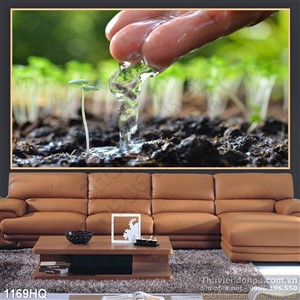 Tranh hoa lá nhiếp ảnh đẹp