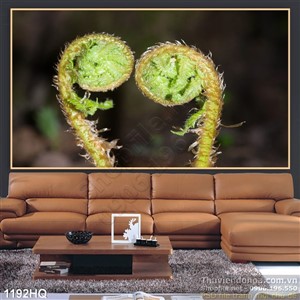 Tranh hoa lá dương xỉ đẹp