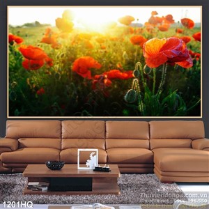 Tranh hoa Colico trang trí phòng khách